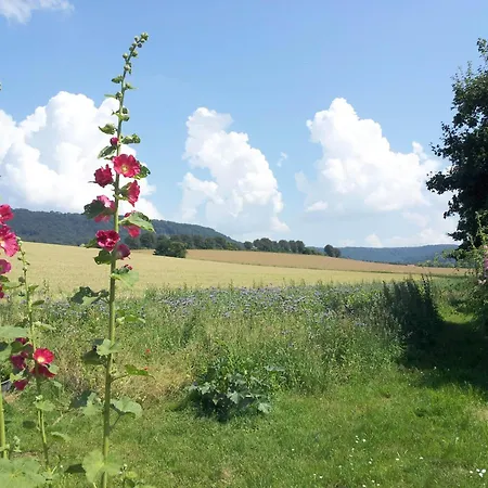Am Ellerbach Hessisch Oldendorf