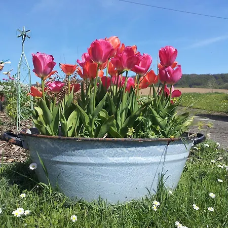 Am Ellerbach * Hessisch Oldendorf