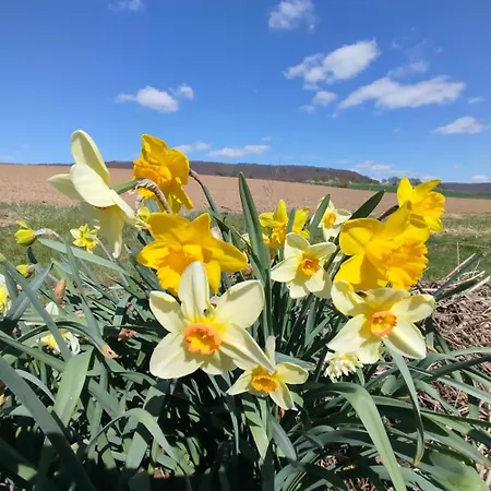 Appartement Am Ellerbach