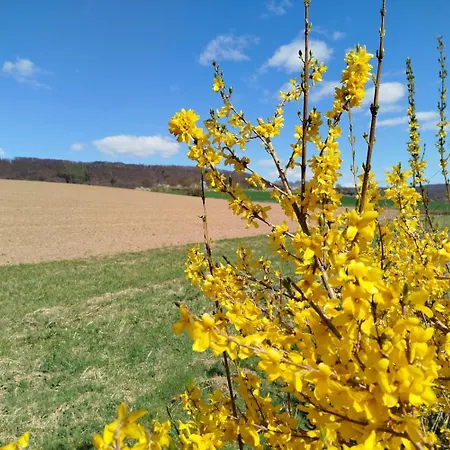 Am Ellerbach Appartement
