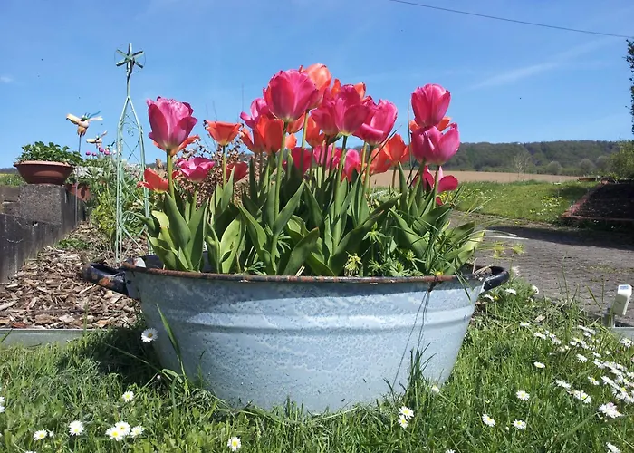 Am Ellerbach * 黑森奥尔登多夫